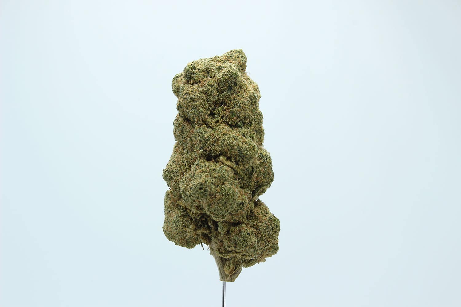 CANDY-KUSH-1