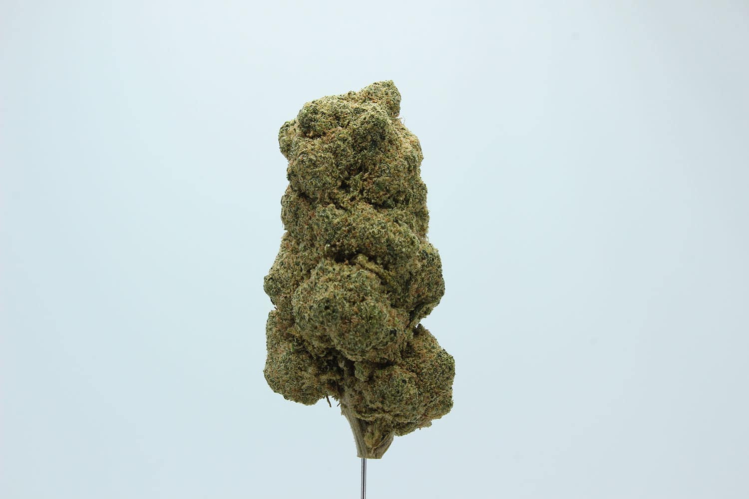 CANDY-KUSH-2