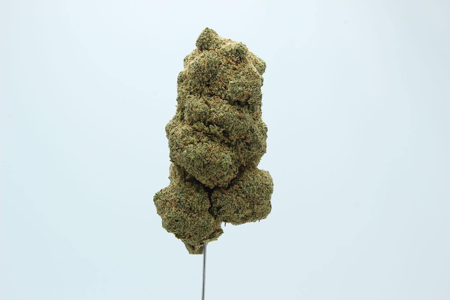 CANDY-KUSH-4